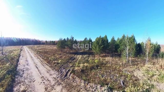 8477492 смотреть онлайн