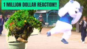 Epic bushman prank, Funniest Reaction video of 2025