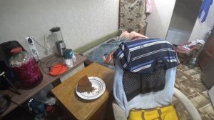 Обзор покупок от 21.04.2025