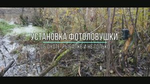 Установка фотоловушки.