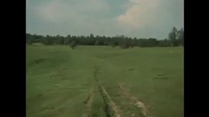 Яша Боярский - Малина