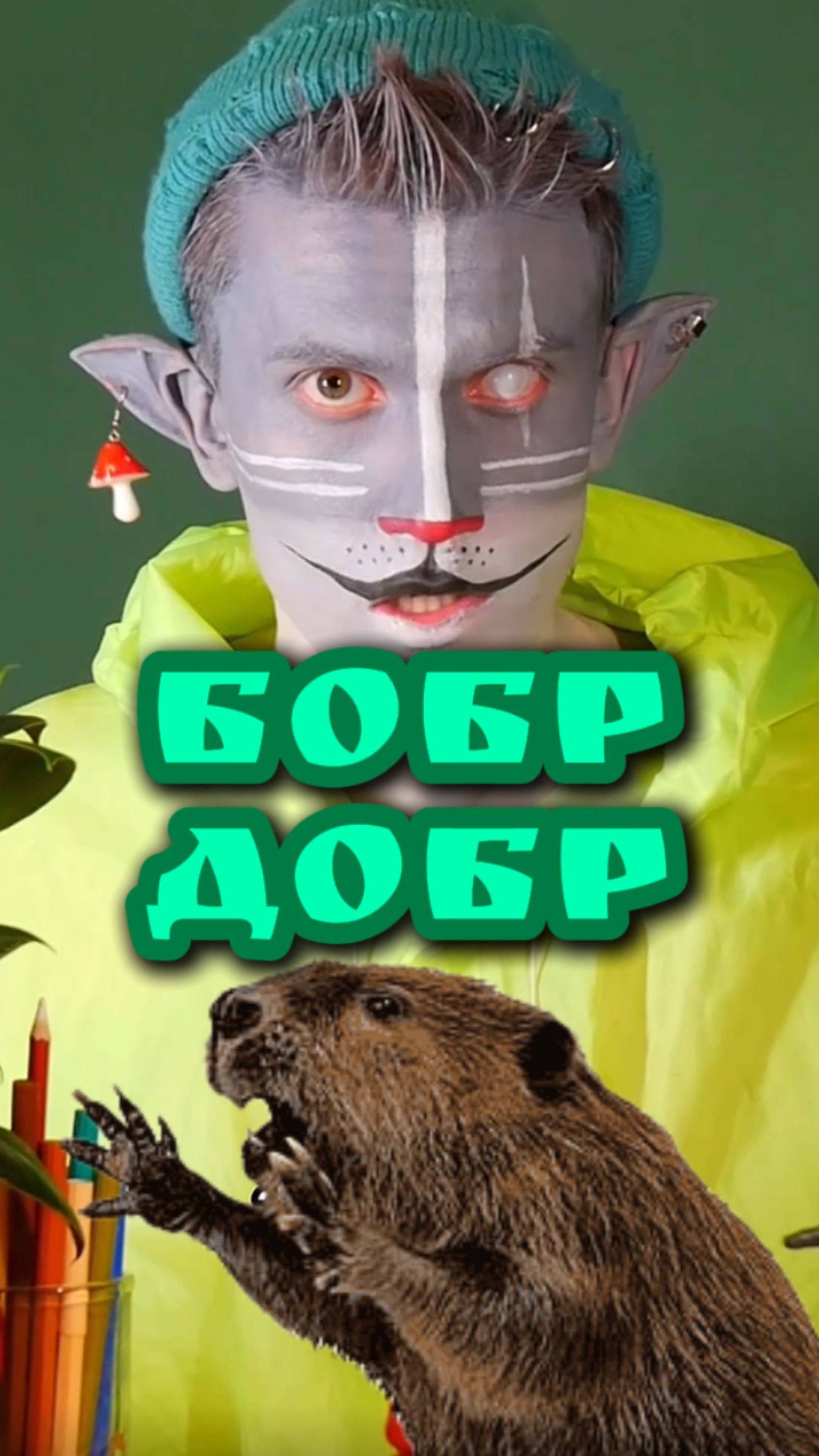 Кот Учёный и Бобр 🦫 смотреть онлайн