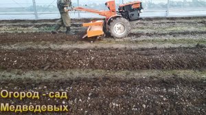 Планирование огорода на новом участке и урожаи этого года