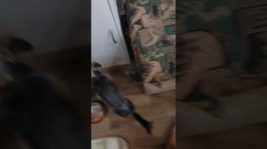 Делаю уроки