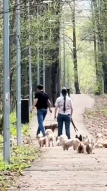 Вот те раз 😳 смотреть онлайн