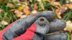 Средневековые находки в лесу.