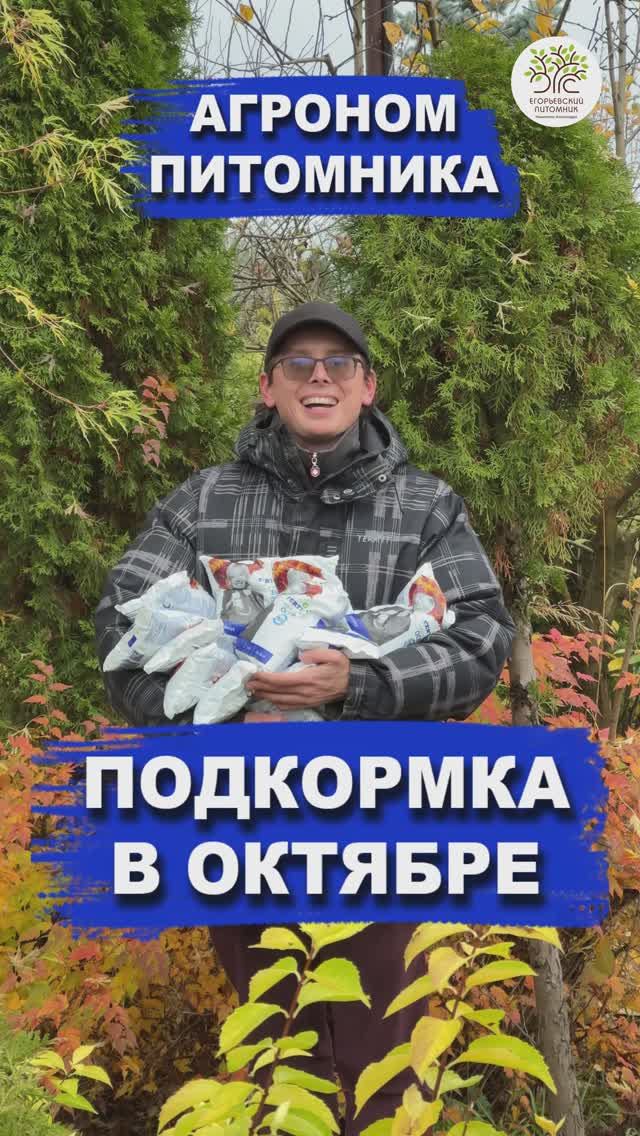 Чем подкармливать растения в саду в октябре смотреть онлайн