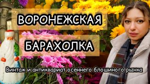 ВОРОНЕЖСКАЯ БАРАХОЛКА| ВИНТАЖ И АНТИКВАРИАТ ОСЕННЕГО БЛОШИНОГО РЫНКА 🍂