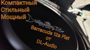 Необычный сабвуфер Barracuda 12a Flat от DL-Audio. Можно нагружать не только музыкой.