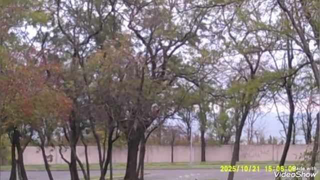 Мариуполь 🛥️ Приморский район ⚓ парк аллея сказочных героев А.С.Пушкина смотреть онлайн