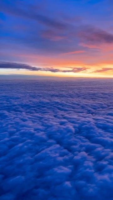 обожаю полёты... смотреть онлайн