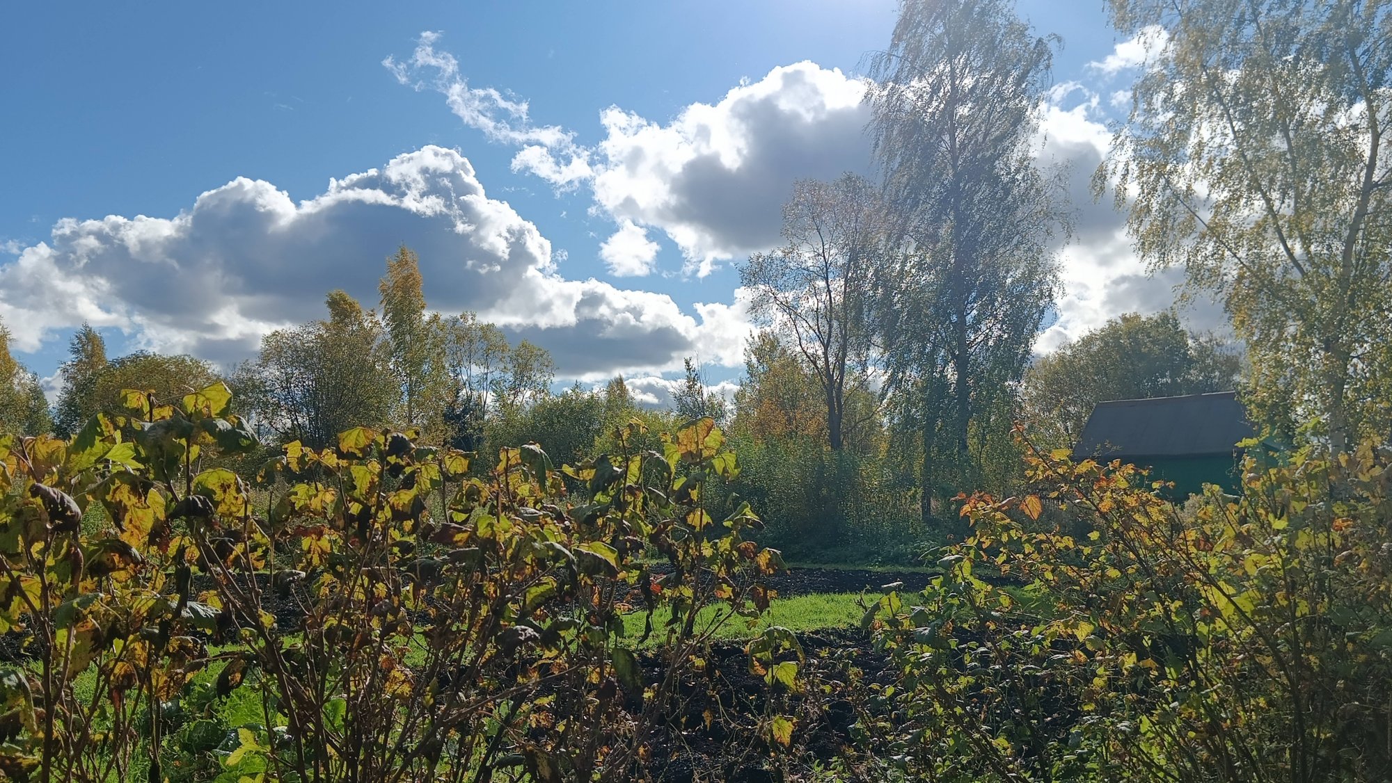 Напала на меня осенняя Хандра .Отписка от каналов. смотреть онлайн