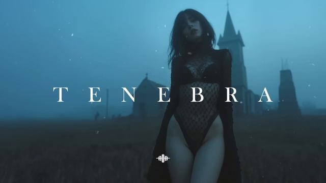 Dark Techno ⧸ EBM ⧸ Industrial Bass Mix 'TENEBRA' смотреть онлайн