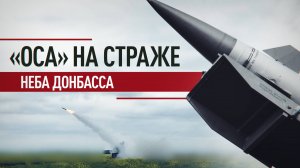 Борьба с украинскими дронами: работа комплекса «Оса» на донецком направлении
