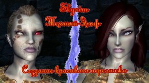 Как создать красивого персонажа в Skyrim с модами RaceMenu.