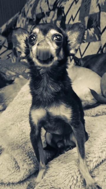 Своя атмосфера...19 октября 2025 г. смотреть онлайн