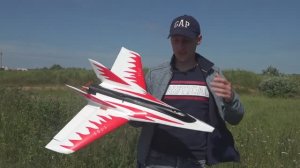 Самолет на радиоуправлении Stinger