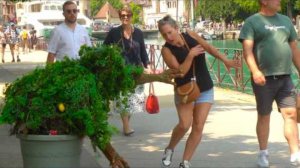 Ultimate bushman prank;  THE BEST SUMMER REACTIONS 2025