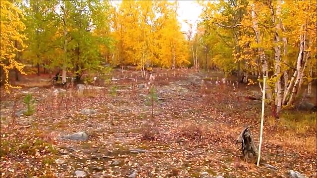 Золотой запас России. смотреть онлайн