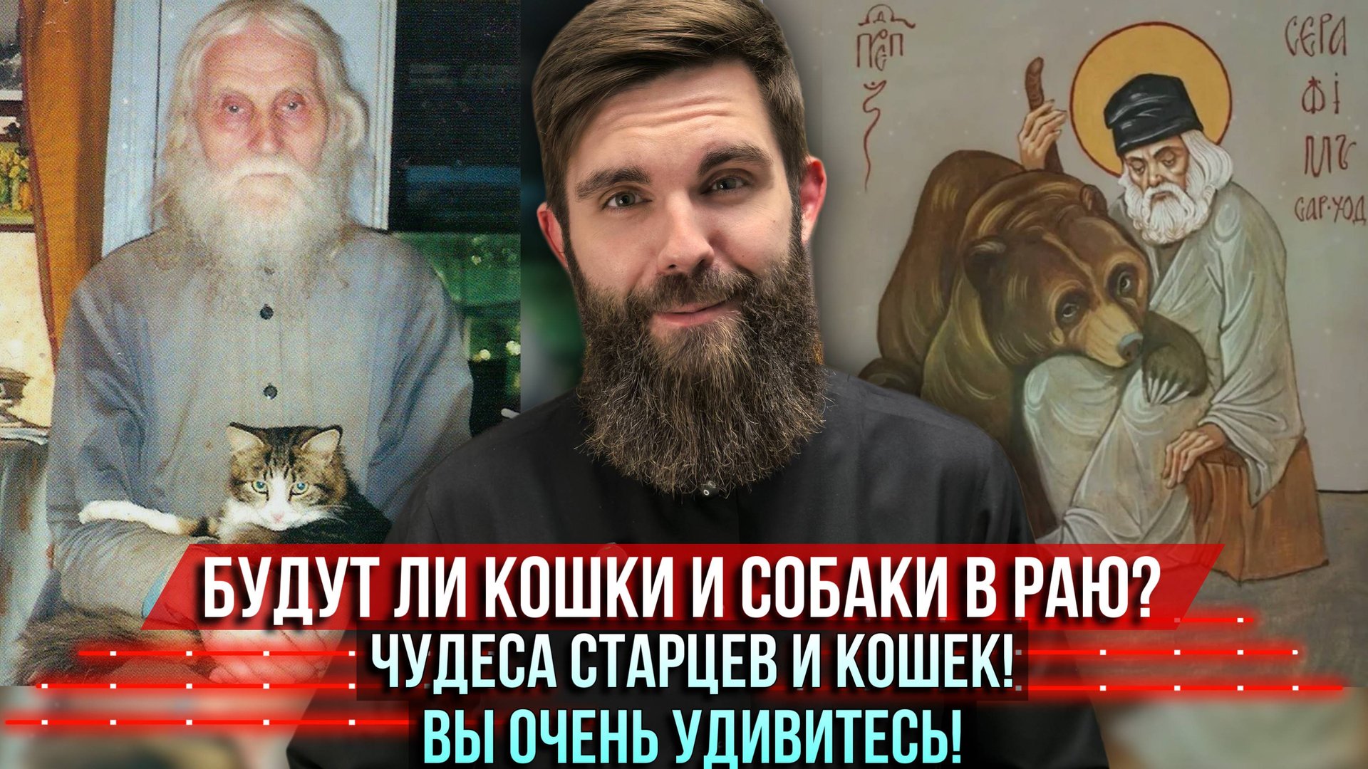 ❗️Будут ли кошки и собаки в Раю? Чудеса старцев и кошек! Вы очень удивитесь! смотреть онлайн