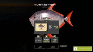 Трофейный опах на Норвежском море! Русская рыбалка 4