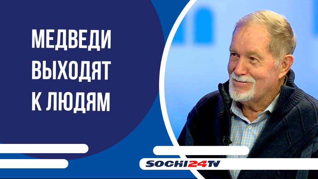 Медведи выходят к людям | ПОДРОБНО
