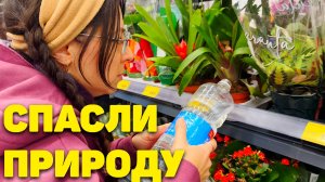 Как мы спасали растения в Магните! Эко-активисты Нифёдовы (ВЛОГ Окт 2025)