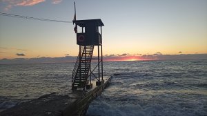 Отпуск в Сочи/ Сходила в океанариум/новые впечатления