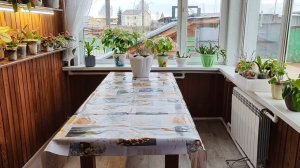 Расстроилась. Сегодня, не хотела я этим заниматься.