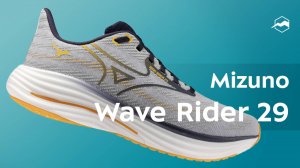 Кроссовки Mizuno Wave Rider 29