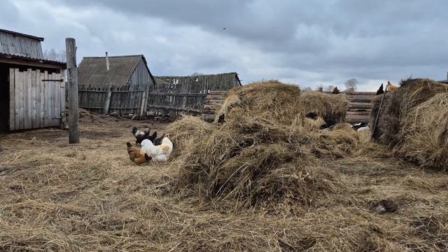 наверное мне скучно,решили меня повеселить/ на улице тепло смотреть онлайн