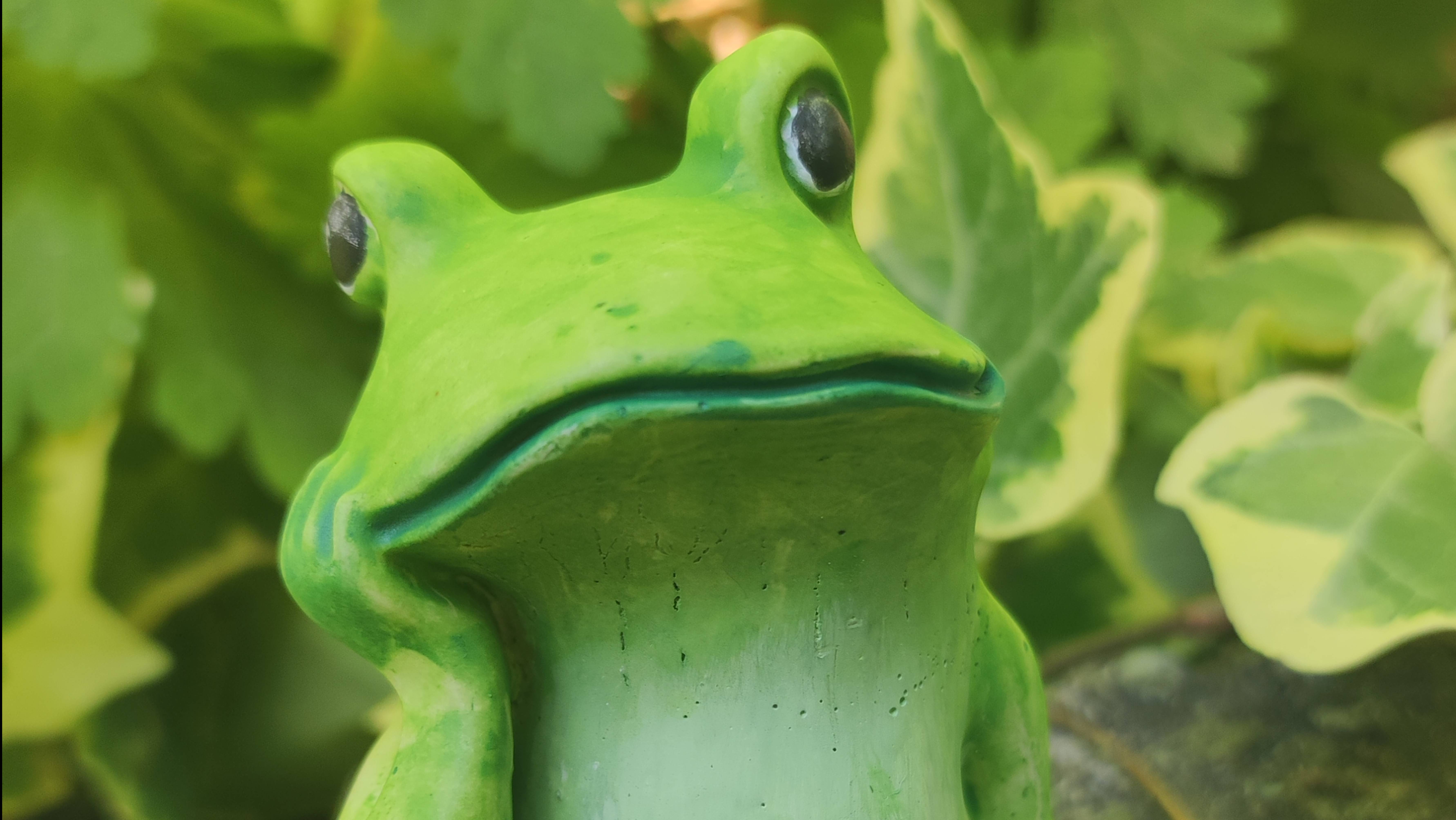 Лягушенция