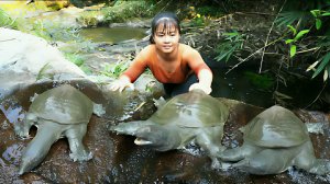 Ловлю черепах в расщелине скалы, что бы продать на рынке. Покупка новой рубашки. Жизнь во Вьетнаме