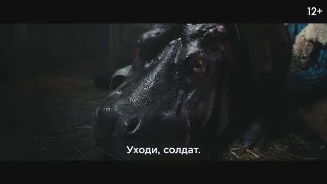 Красавица | Трейлер фильма (2026) История, драма, приключения смотреть онлайн