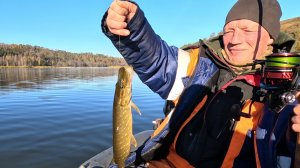 ЛОВЛЯ НА СИЛИКОНОВЫЕ ПРИМАНКИ. РЫБАЛКА НА ЩУКУ И ОКУНЯ!