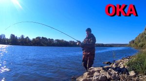 ЭТУ РЫБУ Я НИКАК НЕ ОЖИДАЛ ПОЙМАТЬ. Рыбалка на ОКЕ в ясную погоду.