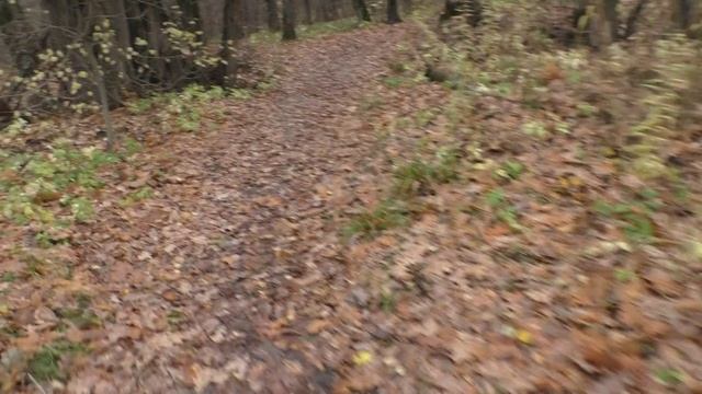 Прогулка по осеннему парку.