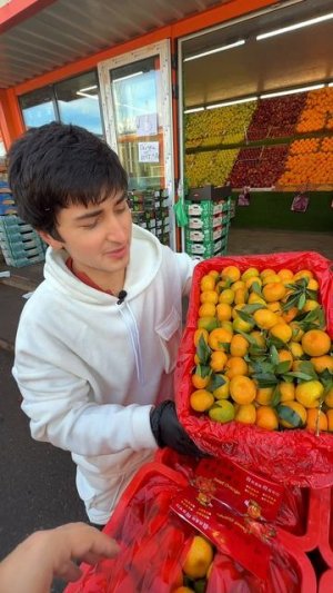 Обзор на овощную базу в Уфе