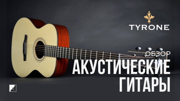 Обзор акустических гитар Tyron