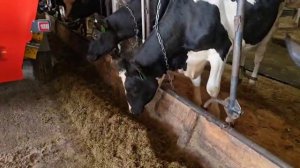 Смеситель-раздатчик кормов К-13 c горизонтальными шнеками от российского производителя САТ