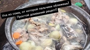 Уха из сома, от которой пальчики оближешь! Простой домашний рецепт!
