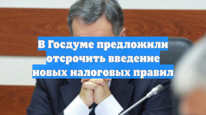 В Госдуме предложили отсрочить введение новых налоговых правил