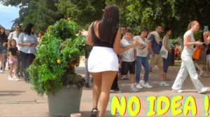 BEST OF BUSHMAN SUMMER 2025!!