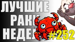 ЛРН выпуск №252 🤪 КОЛОБОК, МЕДОЕД и ОСТРОВОК БЕЗОПАСНОСТИ  [Лучшие Раки Недели]