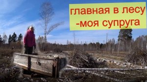 Без женских рук в деляне  не работаю - дрова для дома своим силами.