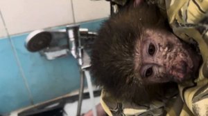 Мы чуть не ЛОПНУЛИ ОТ СМЕХА! Анфиса какую ШАХТУ ТЫ КОПАЛА?))