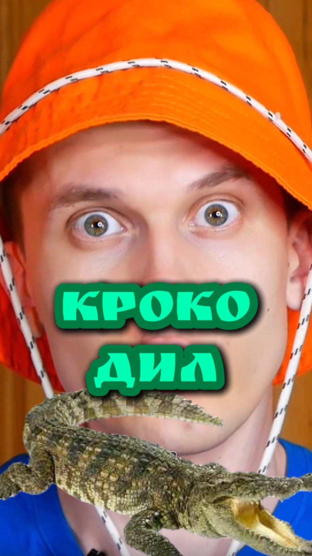 Кот Учёный и Крокодил 🐊 смотреть онлайн