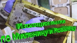 Изоляция матки по Миленину-Ковалеву: Объясняет профессор Кашковский