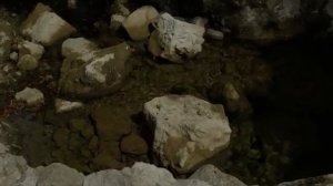 Последний Завет Возвращение к Истоку