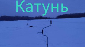 зимняя рыбалка на катуни. 1 декабря 2024 года.